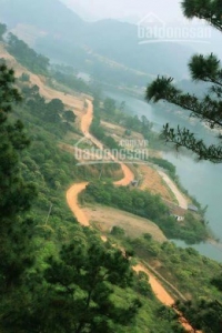 Đất view hồ sinh thái 8000m2 lưng dựa núi thông khu sinh thái hồ Đồng Đò Minh Trí, Sóc Sơn, Hà Nội