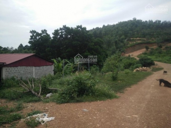 Cần bán 40.000m2 đất ở và vườn tại xã Minh Trí - huyện Sóc Sơn, Hà Nội GIÁ SIÊU RẺ