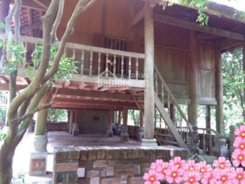 Chuyển nhượng lại 2210m2 khuôn viên nhà vườn tại Lâm Trường, xã Minh Phú, huyện Sóc Sơn, Hà Nội