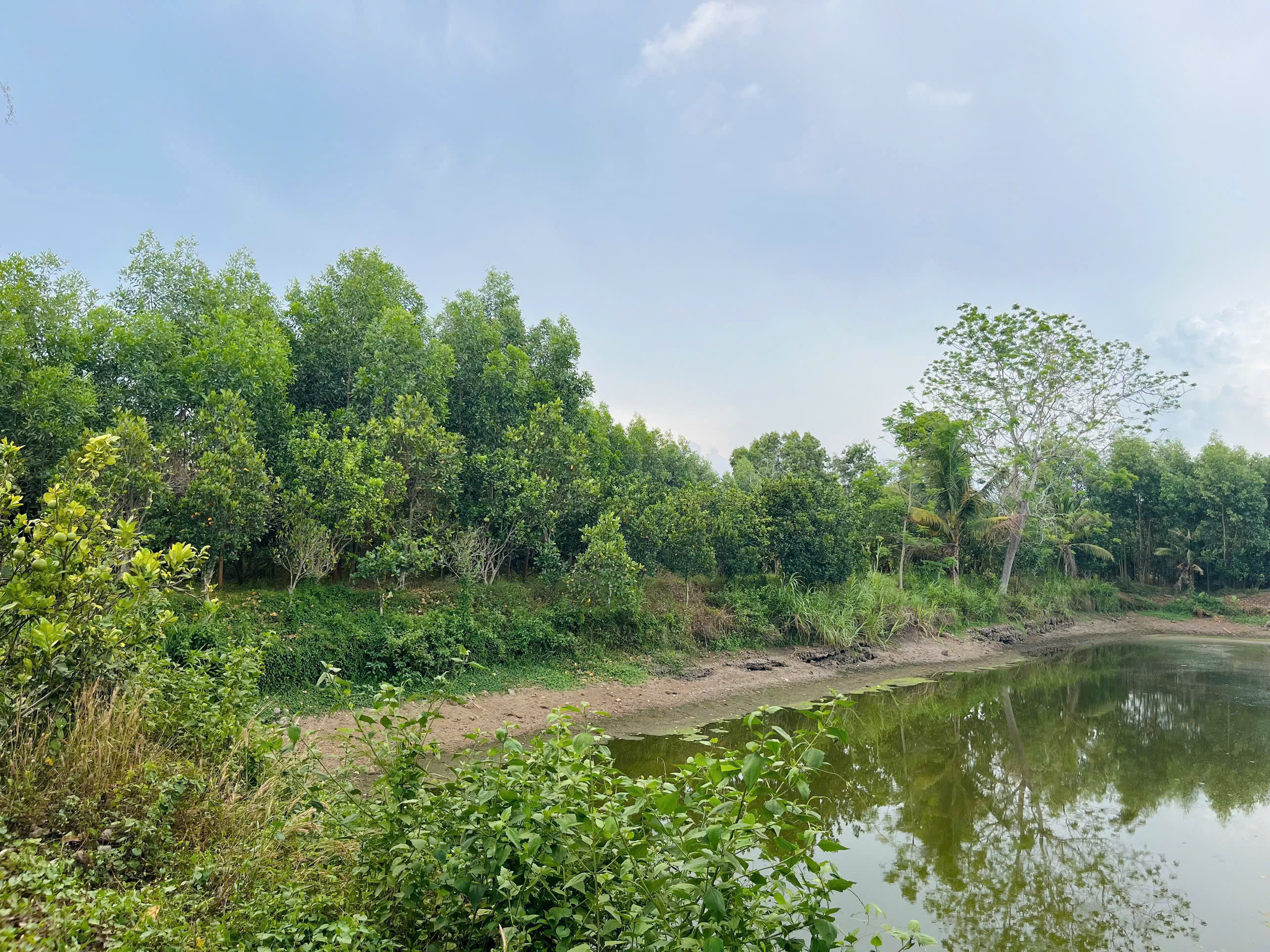 Chính Chủ Bán 20.000m2 Đất Tại Xã Bàu Lâm, Xuyên Mộc - Bà Rịa Vũng Tàu